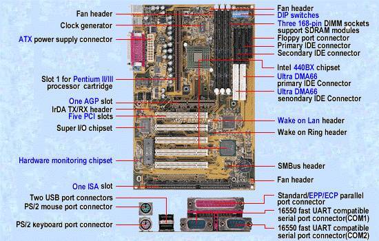 One kickass MOBO